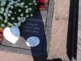 image of grave number 458621